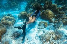Discover Freediving in Koh Lanta, Thailand