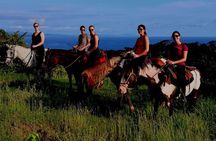 Horseback Riding in Playa Carrillo