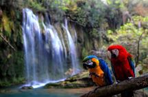 Perge, Aspendos, Side, Manavgat Waterfall Tour (Small groups)
