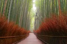5 Top Highlights of Kyoto Full Day Bike Tour (E-bike option)