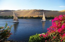 Sail to Banana and Camel Islands on a Classic Felucca