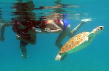 Coral Reef and Turtle Discovery Tour