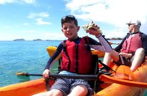 St Thomas Sea Turtle Snorkel Kayak Adventure Tour