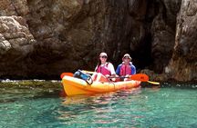 Coral Reef and Turtle Discovery Kayak and Snorkel Tour 