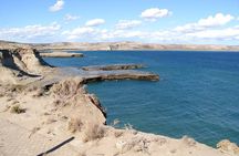 Shore Excursion: Private Day Trip to Peninsula Valdes from Puerto Madryn