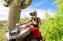 Guided Arizona Desert Tour by ATV