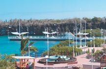 Full-Day Pinzon Island Snorkeling and Fishing 