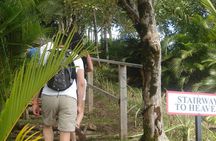 The Best of Saint Lucia Tour