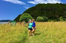 Bay of Islands Cruise & Island Tour - Snorkel, Hike,Swim,Wildlife