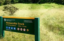 Bay of Islands Cruise & Island Tour - Snorkel, Hike,Swim,Wildlife