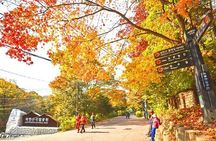 Bukhansan Mountain Private Hike with Korean BBQ and Sauna
