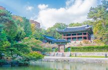 Afternoon Half Day Seoul City Tour, visit Queen's dorm