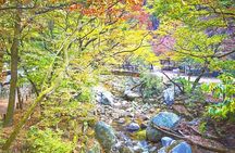 Bukhansan Mountain Private Hike with Korean BBQ and Sauna