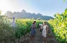 City Sightseeing Full Day Tour with Stellenbosch and Franschhoek Wineries