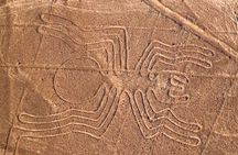 Nazca Lines Overflight Tour from Nazca