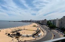 Best Private Montevideo Shore Excursion: City Tour. Optional WineTasting Tour.
