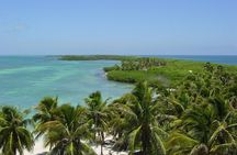 Contoy Island Tour from Playa del Carmen & Cancun