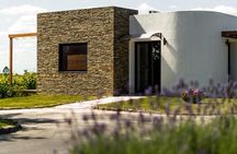 Montevideo Wine Tour with Tasting and Lunch