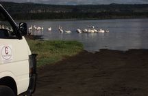 Day Tour Nairobi to the Lake Nakuru National Park