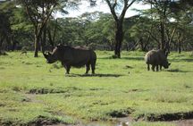 Day Tour Nairobi to the Lake Nakuru National Park