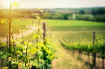 Knossos Wine & More