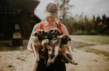 Summer Kennel Visit at Historic Trail Breaker Kennel
