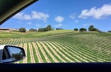 Santa Barbara Small-Group Wine Tour to Private Estates & Wineries