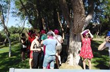 Group activities: Treasure hunt in Marrakech