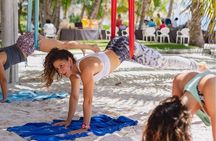 Private Aerial Yoga or Aerial Pilate Class