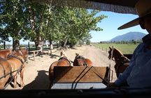 Viu Manent and Montes Winery, Colchagua Valley from semi-private