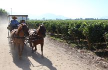 Viu Manent and Montes Winery, Colchagua Valley from semi-private