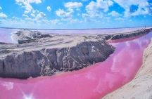 Private Tour: Ek Balam, Pink Flamingos Sanctuary and Tequila Tasting Factory
