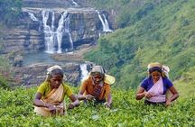 August Kandy Festive Tour