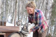 Intimate Visit of an Alaskan Off-Grid Homestead with Sled Dogs - Talkeetna