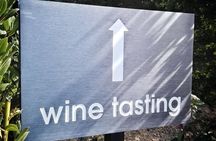 Cape Winelands and Kisternbosch Botanical Garden Full Day Tour.