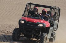 buggy Car Safari Tour & Camel Ride With Transfer - Marsa Alam