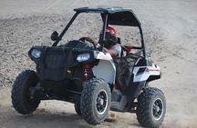 buggy Car Safari Tour & Camel Ride With Transfer - Marsa Alam