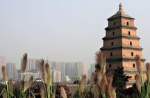 Private Xi'an 2-Day Tour from Shanghai with Deluxe Soft Sleeper Train Experience