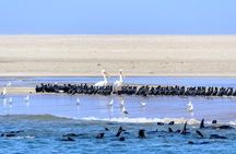 Highlights of Walvis Bay Private Tour