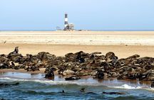 Highlights of Walvis Bay Private Tour
