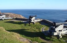  Seal Island, World of Birds and Cape City Center Tour.