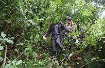 3-Day Gorilla Trekking safari in Bwindi Impenetrable Forest