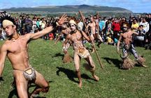 Full day Easter island Shared Tour 
