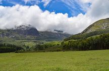 Full-Day Private Tour to Munnar from Kochi with Lunch