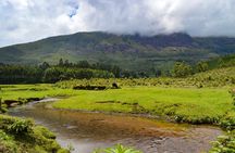 6 Days Tour Visit Munnar Hills, Alleppey Houseboat, Kovalam Beach