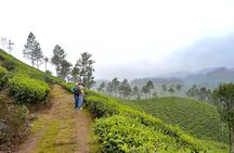 7 Days Kerala Tour- Munnar, Periyar, Houseboat & Varkala Beach 