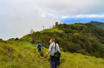 6 Days Tour Visit Munnar Hills, Alleppey Houseboat, Kovalam Beach