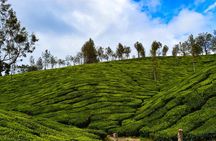 6 Days Tour Visit Munnar Hills, Alleppey Houseboat, Kovalam Beach