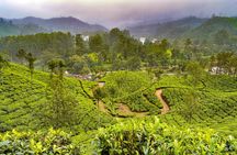 7 Days Kerala Tour- Munnar, Periyar, Houseboat & Varkala Beach 