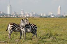 Nairobi National park, Giraffe center and Museum day tour